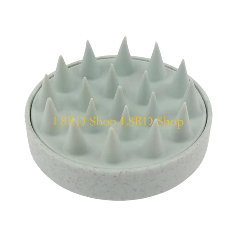 L8RD Wet and Dry Hair Washing  - Dry Brush Body 리뷰 및 가격