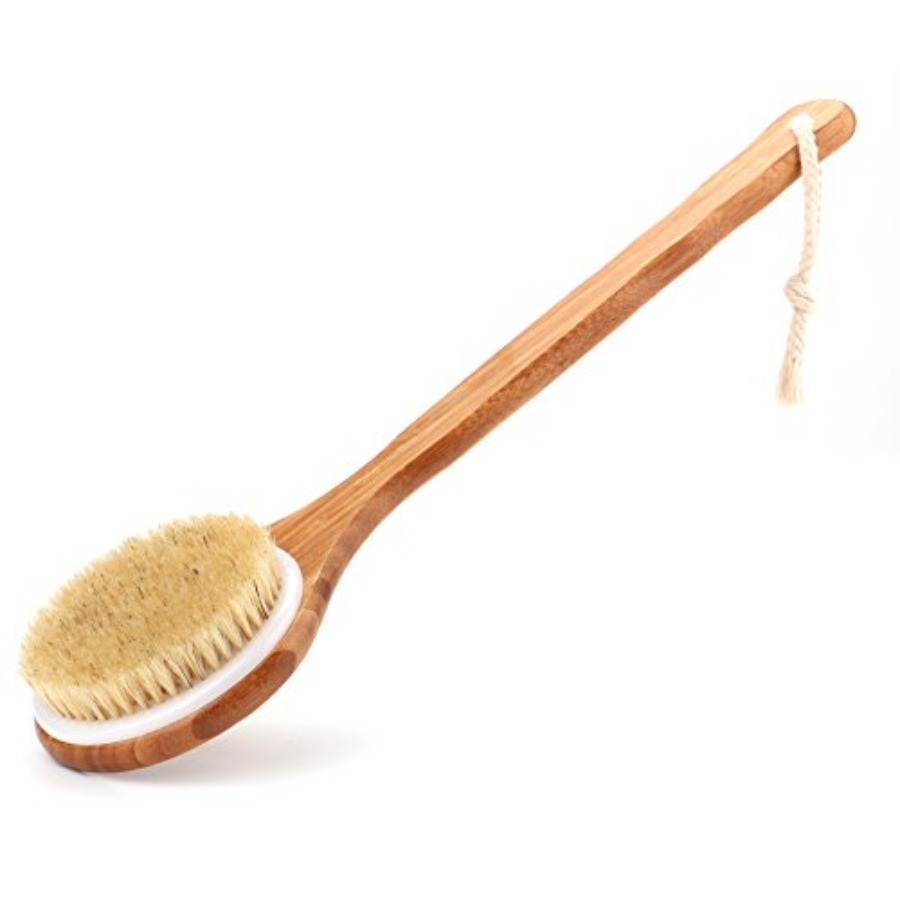Shower Brush with Natural Bris - Dry Brush Body 리뷰 및 가격