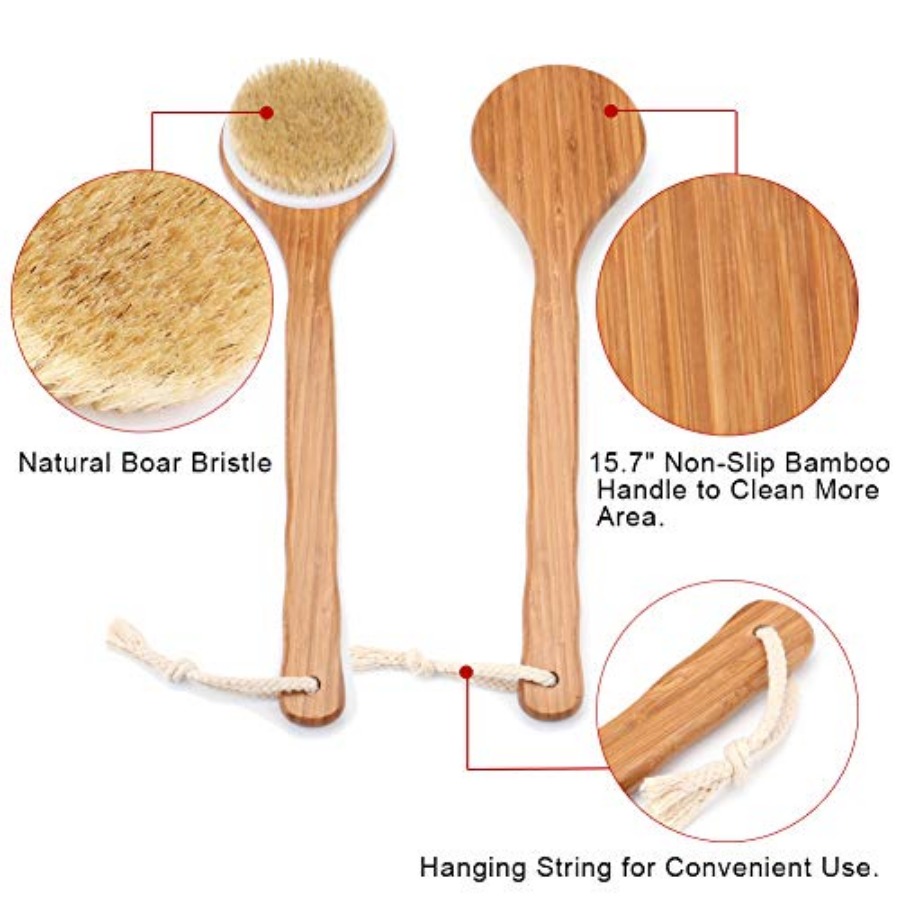 Shower Brush with Natural Bris - Dry Brush Body 리뷰 및 가격