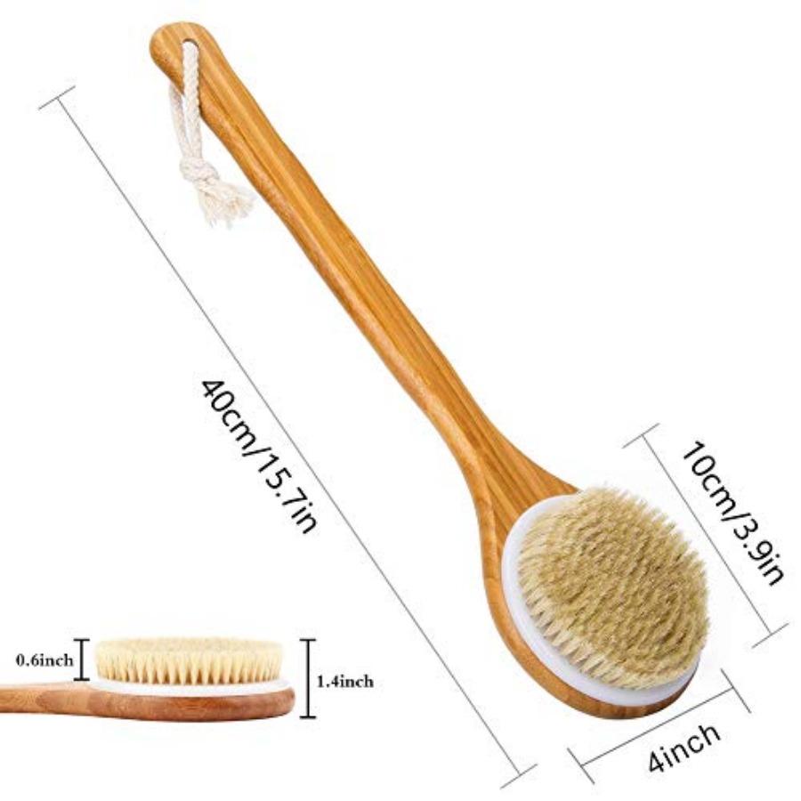 Shower Brush with Natural Bris - Dry Brush Body 리뷰 및 가격